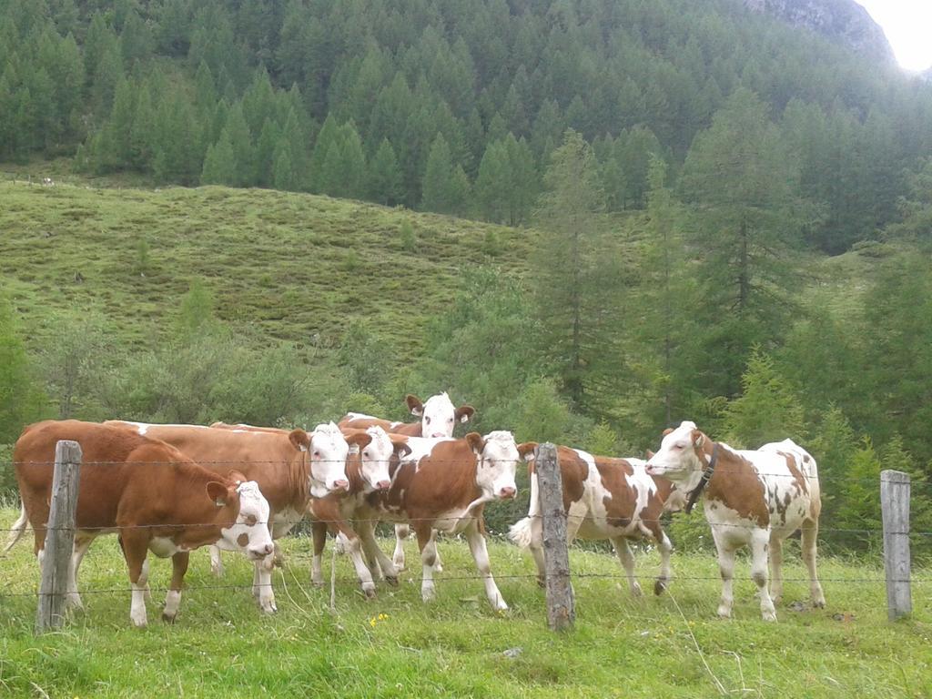 Agroturismo Bauernhof Unterbichl *