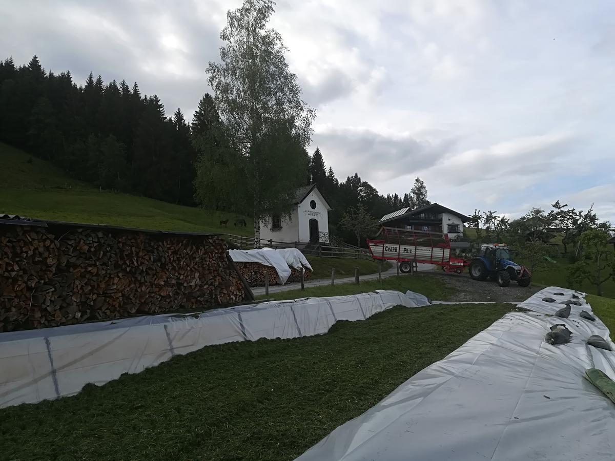 Bauernhof Unterbichl Agroturismo Flachau